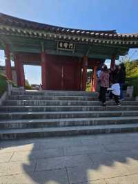 A Chill Day at Ojukheon