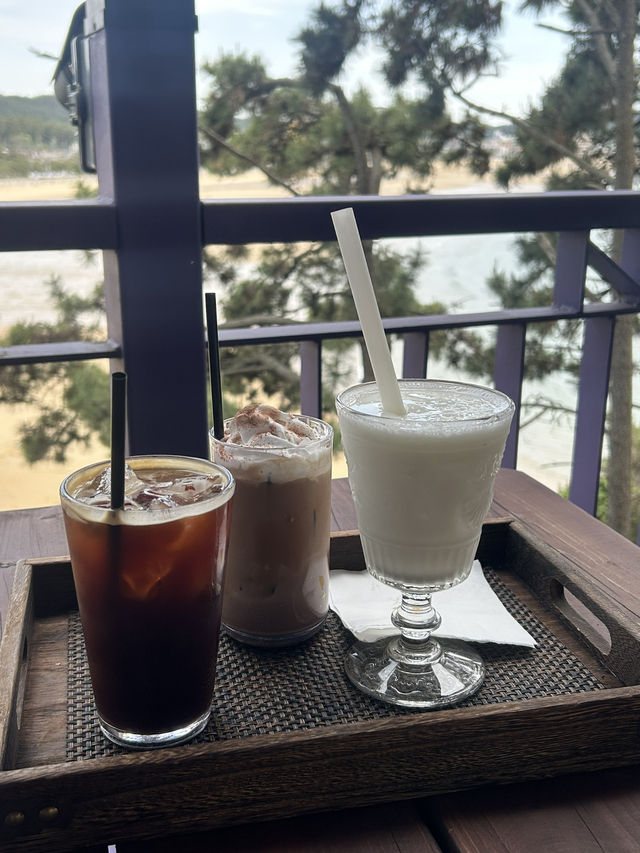 🌊 태안 바다를 품은 절경, 썬셋클리프