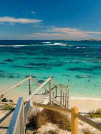 🏝️ Rottnest Island – Perth’s Tropical Paradise Just a Ferry Away! 🐾🌊☀️