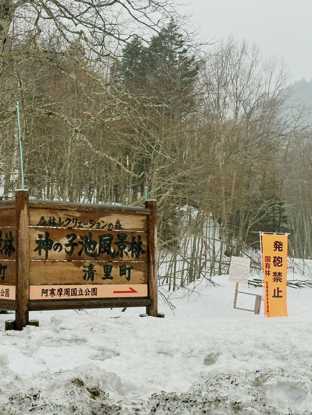 2023年3月❄️追趕日本道東極地流冰之旅❄️中集 - 道東三湖