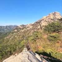 Nature Break with Zero Stress