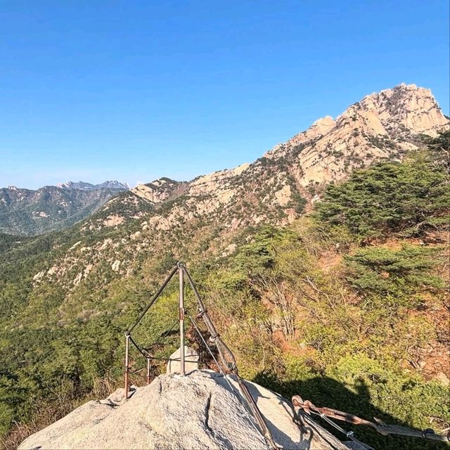Nature Break with Zero Stress