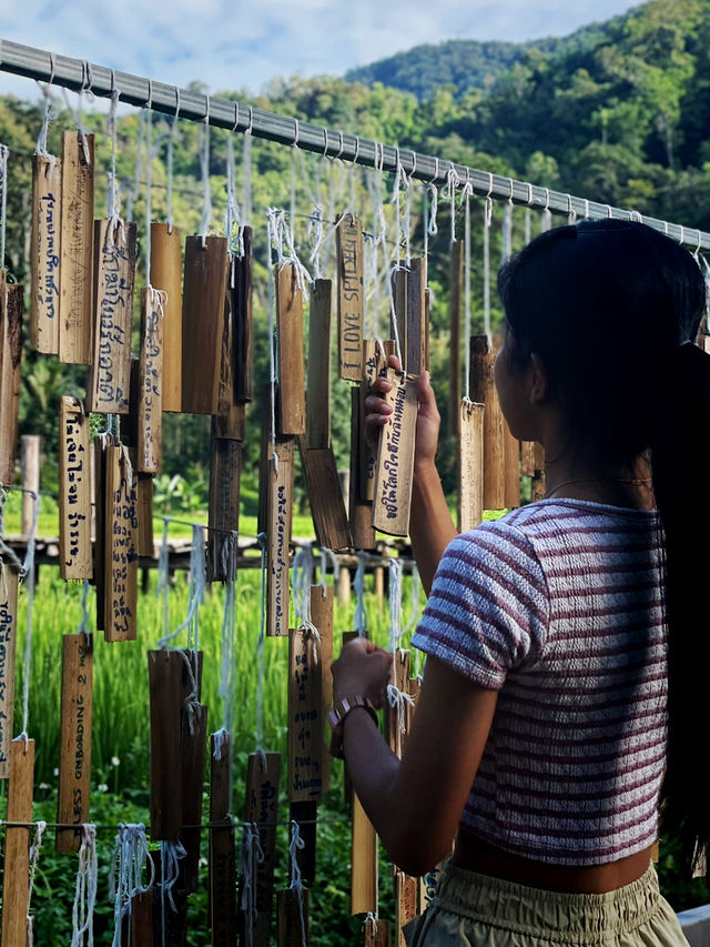 สัมผัสธรรมชาติและศรัทธากลางทุ่งนาวัดนาคูหา