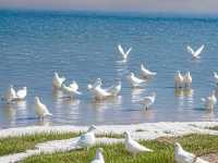 YAMDROK LAKE