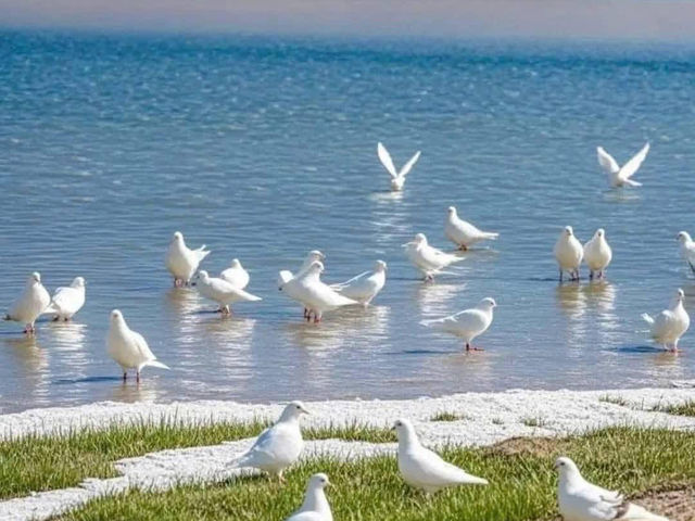 YAMDROK LAKE