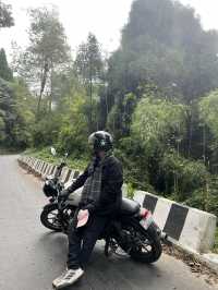 Mesmerizing Darjeeling 