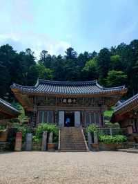 주말이 더욱 빛나는 나들이, 고성 옥천사🌿