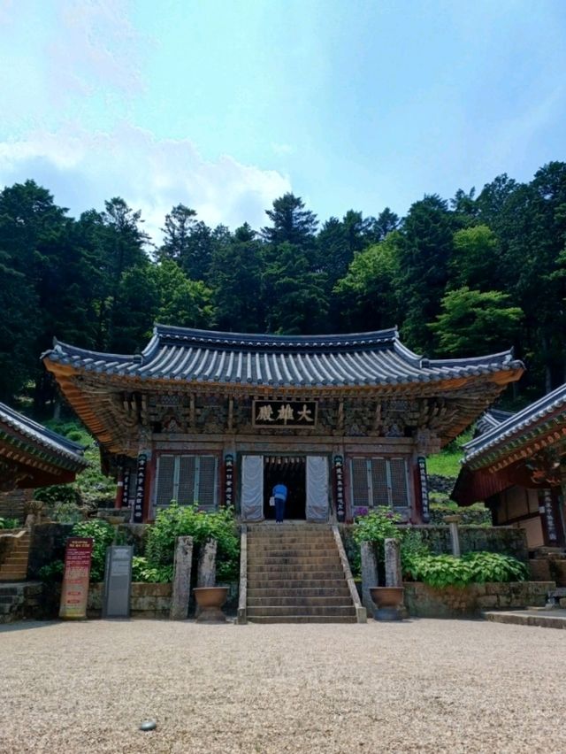 주말이 더욱 빛나는 나들이, 고성 옥천사🌿