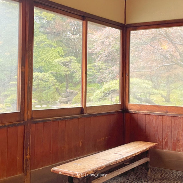 오사카 덴노지 1일 핵심 여행 코스🍜🍣🎍🎋