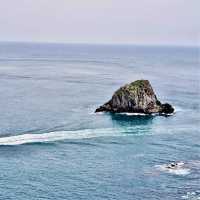基隆嶼登島看花看海去！