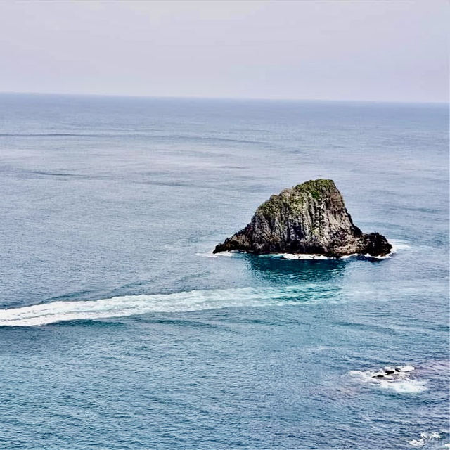 基隆嶼登島看花看海去！