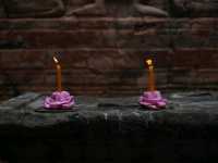 Tomb Raider Temple