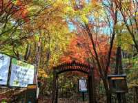Temple Trails