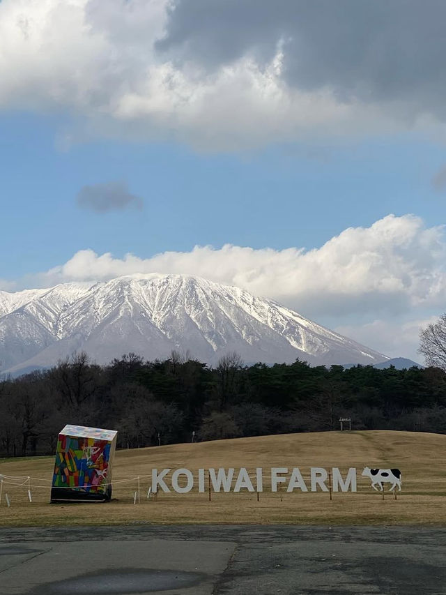 【岩手・小岩井農場】牧歌的な風景に癒される、自然とふれあう贅沢時間
