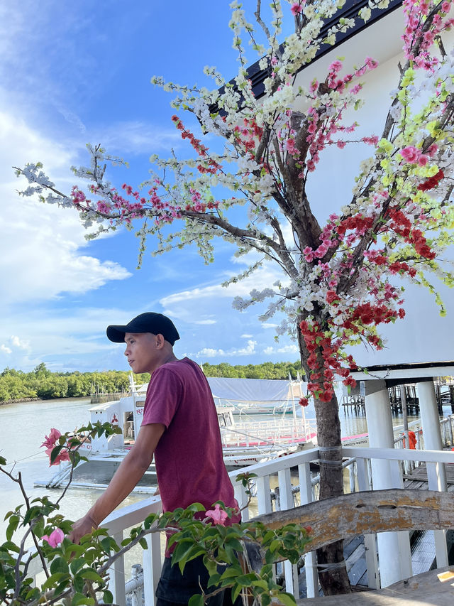 RV’s Mangrove @ Sagay City