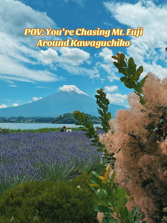 The Best Mt. Fuji Photo Spot (You’ll Thank Me Later)