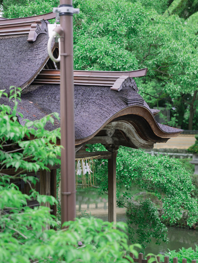 【福岡】梅雨の期間限定の絶景！