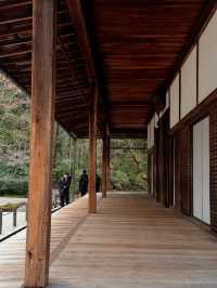 京都·天授庵｜青苔、木廊、錦鯉和古都的慢時間
