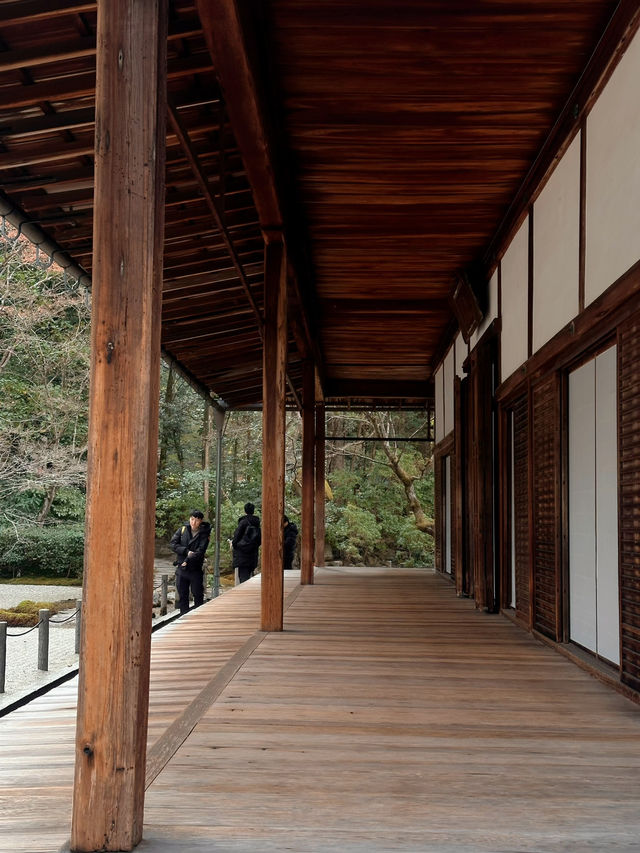 京都·天授庵｜青苔、木廊、錦鯉和古都的慢時間
