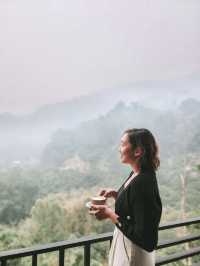 Budget Bliss with a Mountain View in Chiang Rai 🌄✨