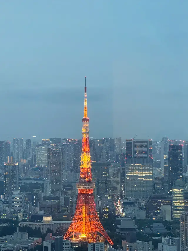 A Glimpse of Tokyo! From Mori Tower Observatory to Tsujihan Kaisen-don and Parfait in One Day