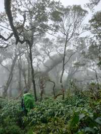 เขาหลวงนคร เนินลมฝน - หนานระฟ้า 1,600 m