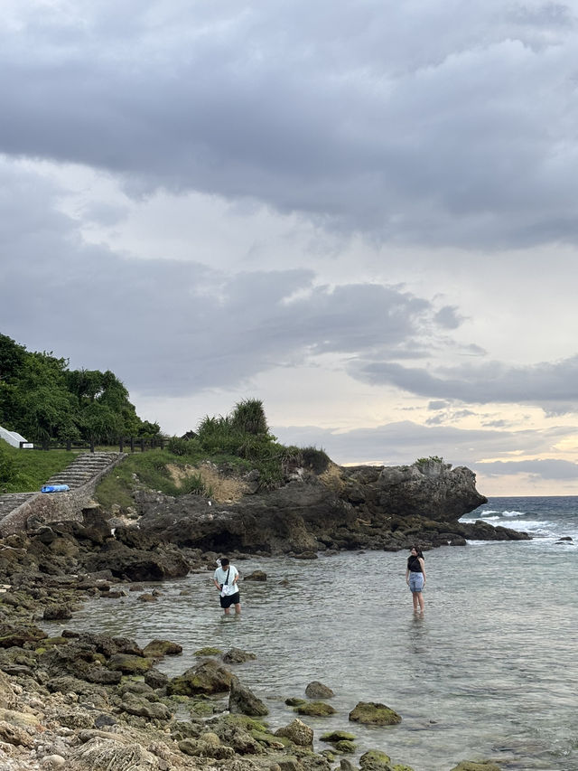 🏖️ 美人沙灘奇遇記：與海龜共舞的秘境之旅