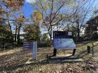 🍀 Review: Strolling Through History at Aobayama Park