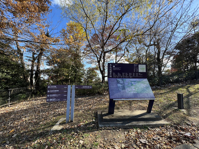 🍀 Review: Strolling Through History at Aobayama Park