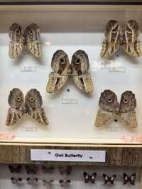 Happy Bee Farm & Insect World, A Buzzing Blend of Nature and Discovery