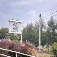 Rice Field Home Farmstay & Cafe 