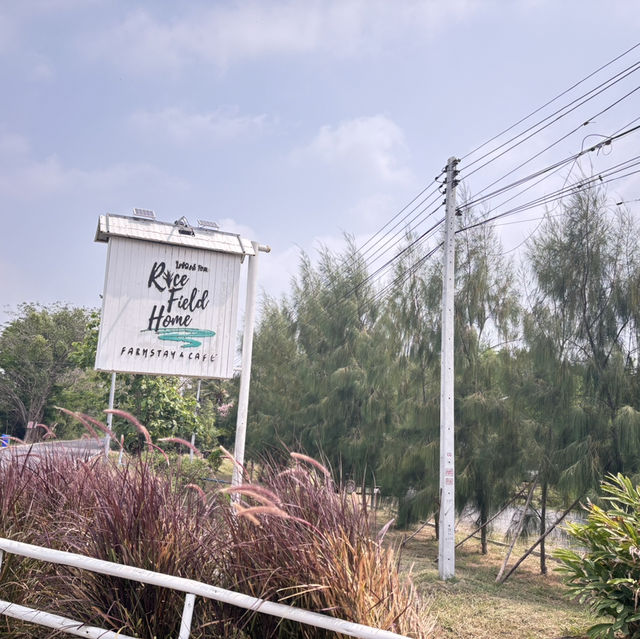 Rice Field Home Farmstay & Cafe 