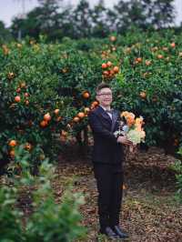 🍊 Jeju Orange Field – A Dreamy Summer Wedding Destination Straight Out of a K-Drama 🍊