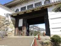🏯 “White Heron Dreams: A Day at Majestic Himeji Castle”