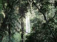 🌿 Lombok Waterfalls: Hike the Wild, See the Beautiful! 💦