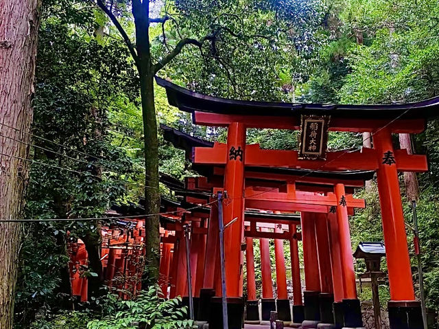 เมืองโอซาก้า🇯🇵