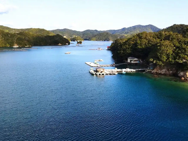 【赤い絆が海を渡る🌉親子大橋で“つながり”を感じる絶景旅】