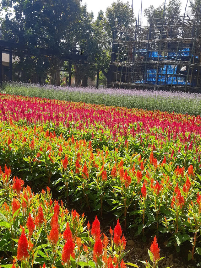 🌿✨ Discover Dantewada’s Land of Angels Waterfall Park – Chiang Mai’s Fairy‑Tale Escape ✨🌿