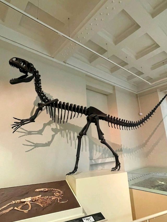 Leicester Museum and Art Gallery