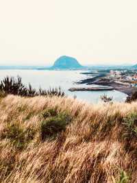  Jeju Island Summer Survival Guide