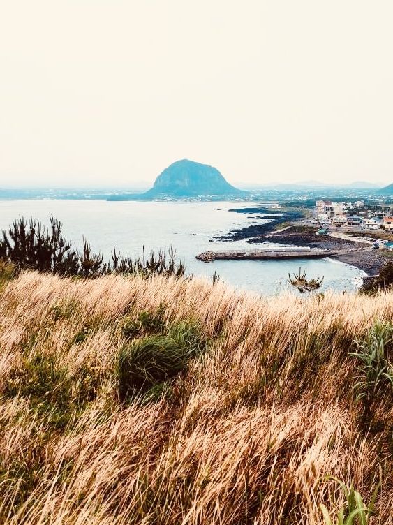  Jeju Island Summer Survival Guide