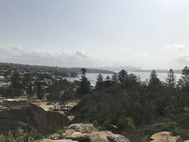 🌅 Watsons Bay – Laid-back Coastal Charm with Harbour Views