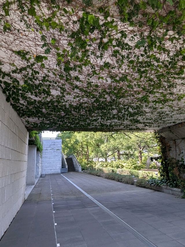 神戶 | 兵庫縣立美術館，安藤忠雄代表性的清水模建築