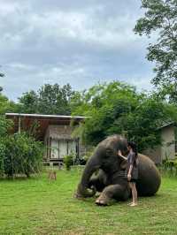 เปิดประสบการณ์พักในปางช้าง #กาญจนบุรี 🐘🌿