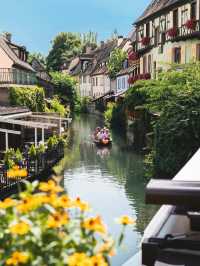 🏡絵本の世界が広がる街！コルマールで夢見るような旅を