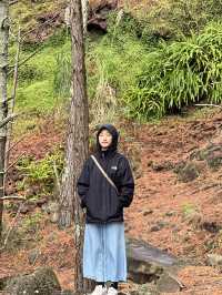 Mount Wellington｜在城市邊緣遠眺火山地形的遺跡 