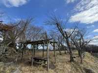 鳥取城跡（若要登山，務必攜帶熊鈴）