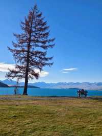 Picnics and Playtime by the Turquoise Treasure: Lake Tekapo Fun!