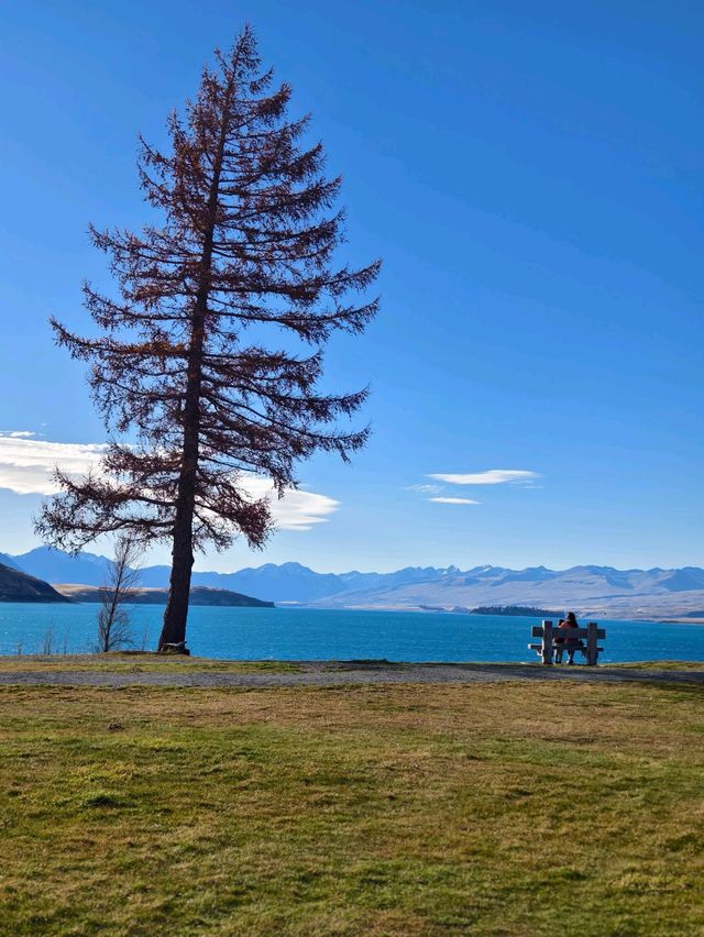 Picnics and Playtime by the Turquoise Treasure: Lake Tekapo Fun!