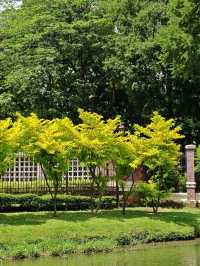Lumphini Park, Bangkok. 